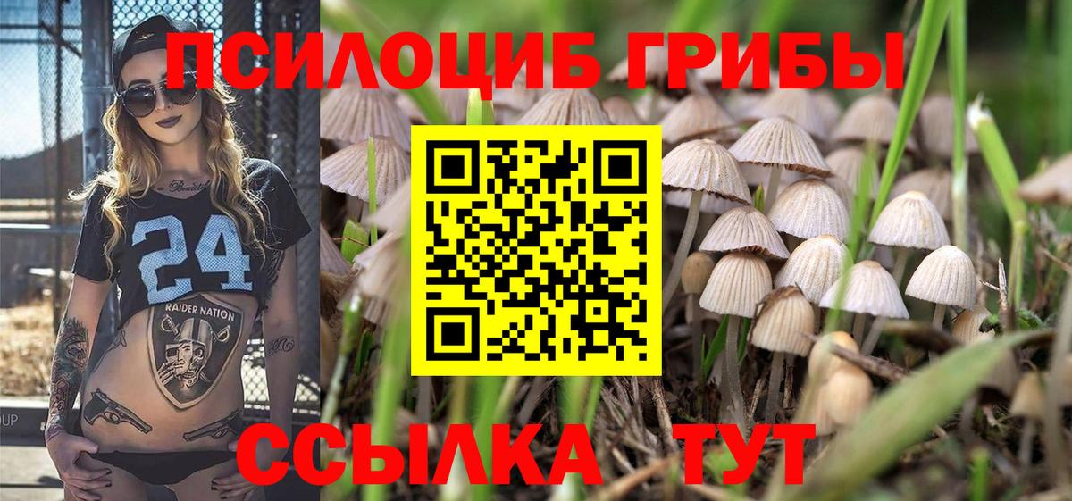 Галлюциногенные грибы ЛСД Изобильный